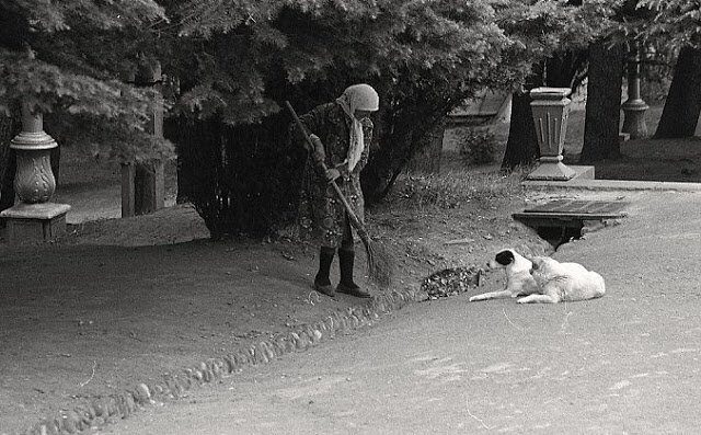 Советская Грузия в 1976 году
