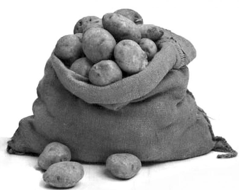 Картошка в Советском Союзе