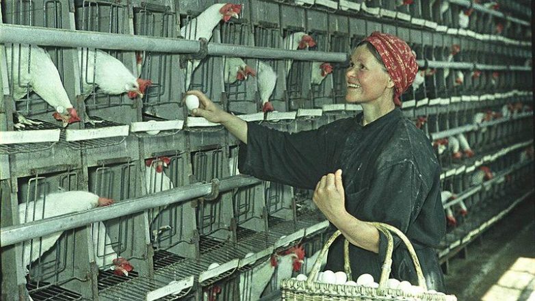 Рабочие девушки Советского Союза. Класс!