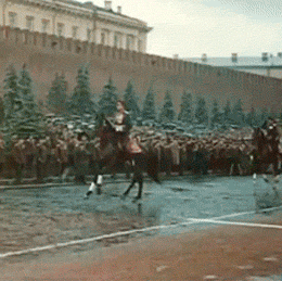Что в итоге стало с лошадью, на которой Рокоссовский командовал Парадом Победы