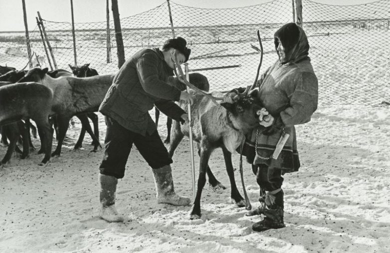 Советская жизнь за Северным полярным кругом