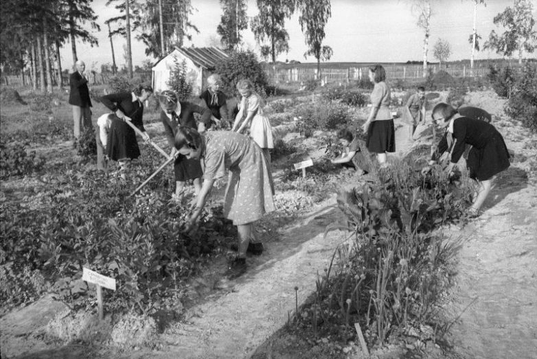 Советские снимки, посвященные началу дачного сезона