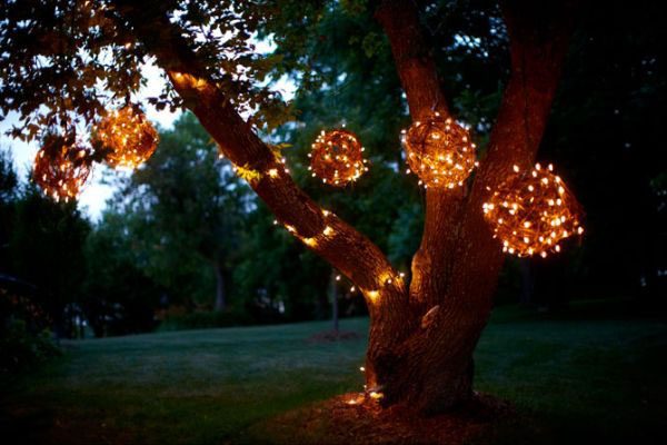 Магия света: освещение сада своими руками