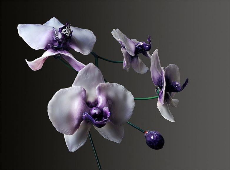 Гигантские орхидеи из стекла