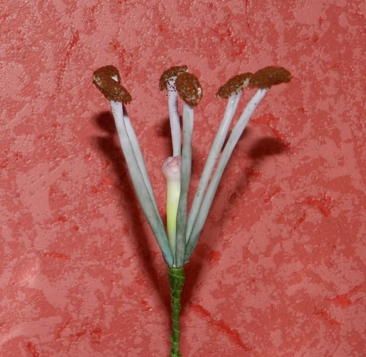 Изготовление лилии из холодного фарфора
