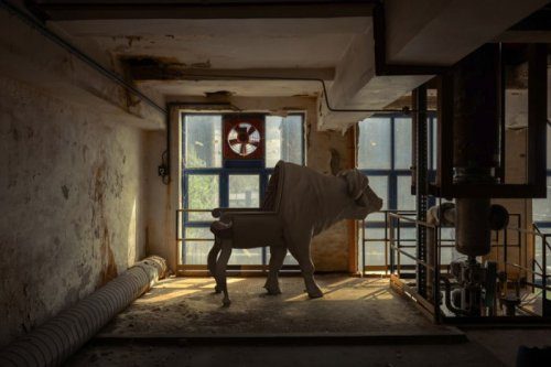 Кресла в виде животных от Максимо Риеры