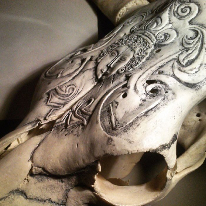 Белорусский мастер превращает черепа животных в произведения искусства