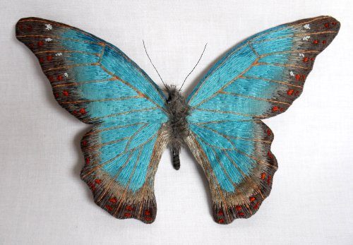 Крутые мотыльки и бабочки от художницы Юми Окита