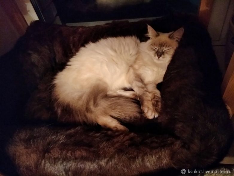 Теплая лежанка для кошки из старой шубы