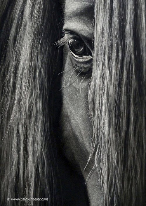 Реалистичные портреты животных от художницы Кэти Шитер