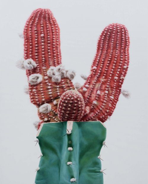 Реалистичные картины кактусов от корейского художника Ли Кван-хо