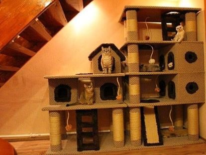 Варианты домиков для котов