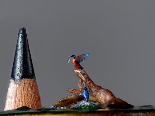 Реалистичные птички, которые меньше кончика карандаша