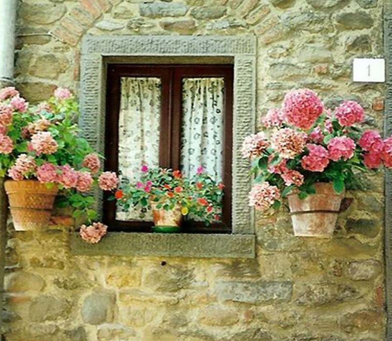 Цветущий сад за окном