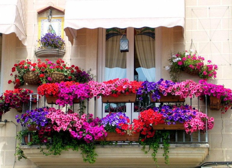 Как украсить балкон цветочными кашпо