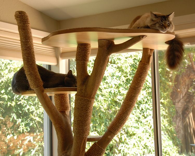 Лазалка для кошки из спиленного дерева