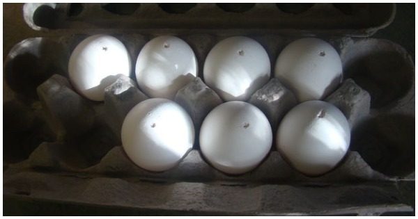 Интересный способ покраски яиц на Пасху