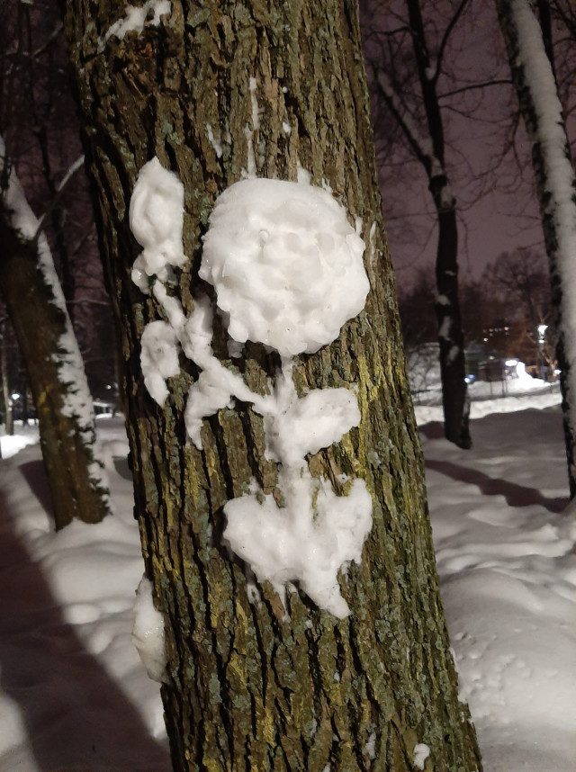 Удивительные снежные барельефы на стволах деревьев в Перовском парке