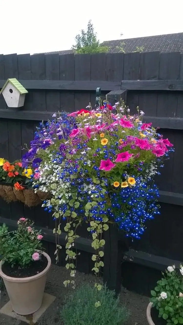 Идеи с яркими цветами, которые преобразят сад