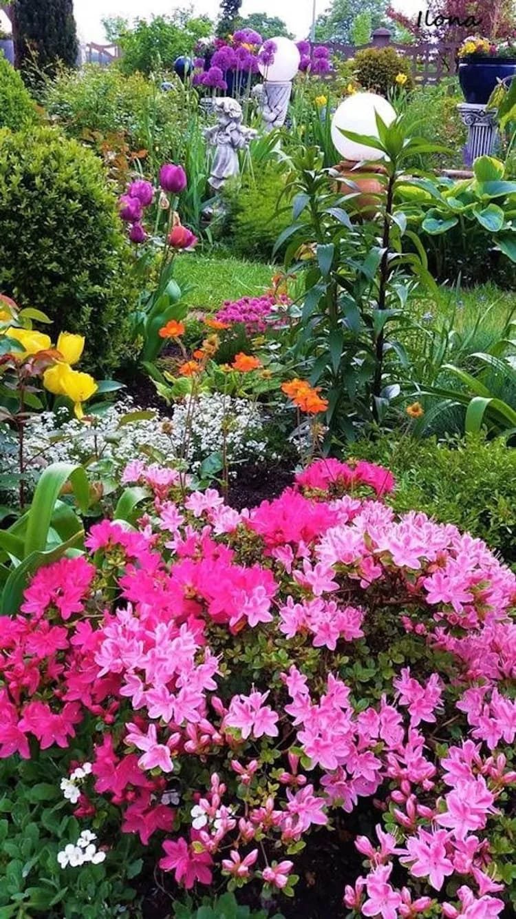 Идеи с яркими цветами, которые преобразят сад