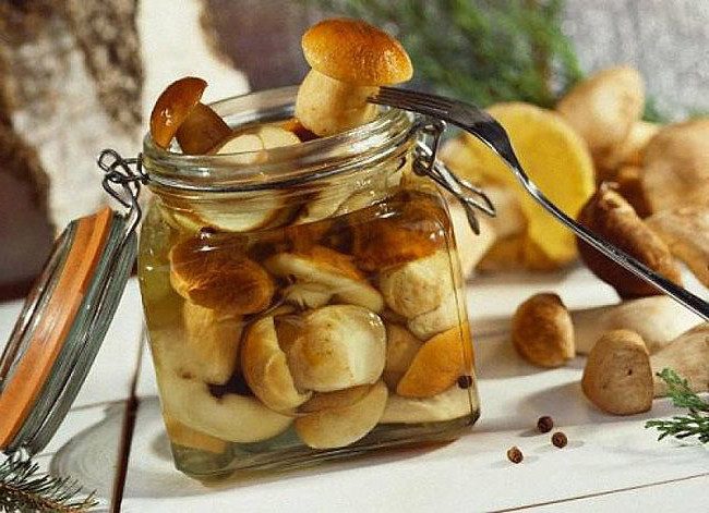 10 лучших рецептов приготовления грибов