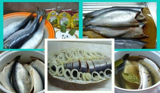 12 способов засолить рыбу дома