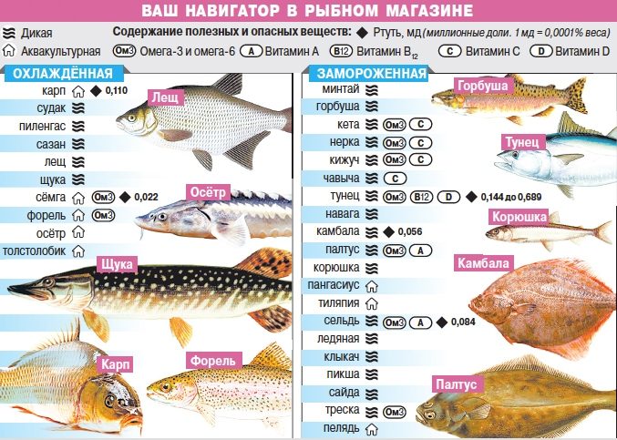 Как избежать обмана на рыбном рынке?