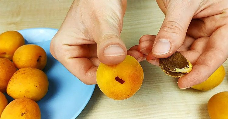 Как за секунду удалить косточку из абрикоса?