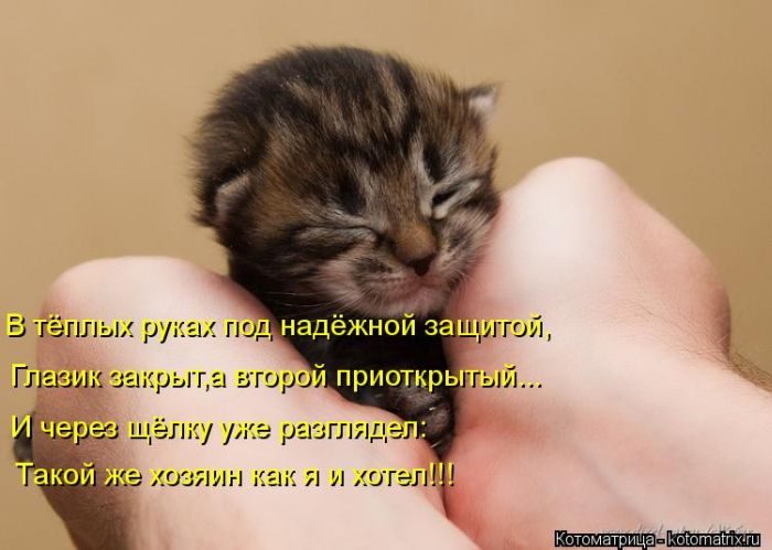 Лучшие Котоматрицы. Продолжение