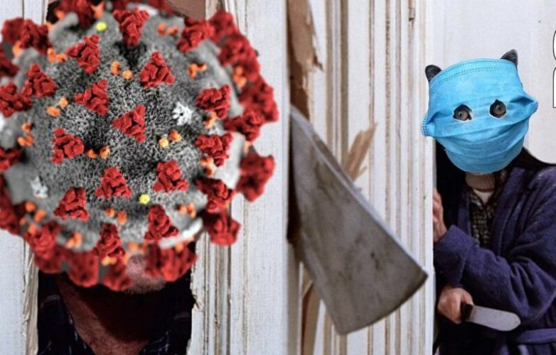 Китайский пушистый борец с коронавирусом стал главным мемом Интернета