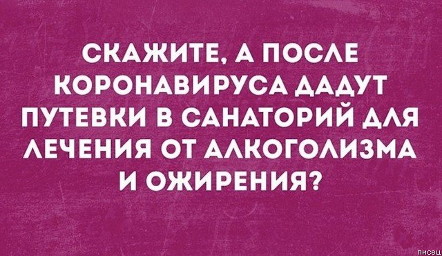 Обалдеть, ну ведь всё в точку!