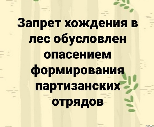 Обалдеть, ну ведь всё в точку!