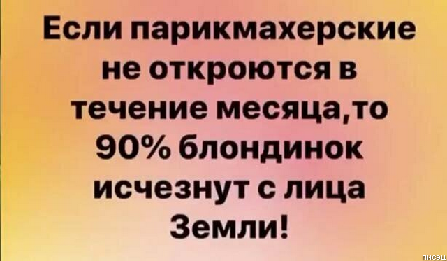 Обалдеть, ну ведь всё в точку!