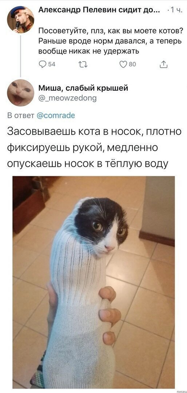 100% ржака, от которой болит живот. Точно смешно!