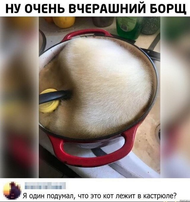 100% ржака, от которой болит живот. Точно смешно!