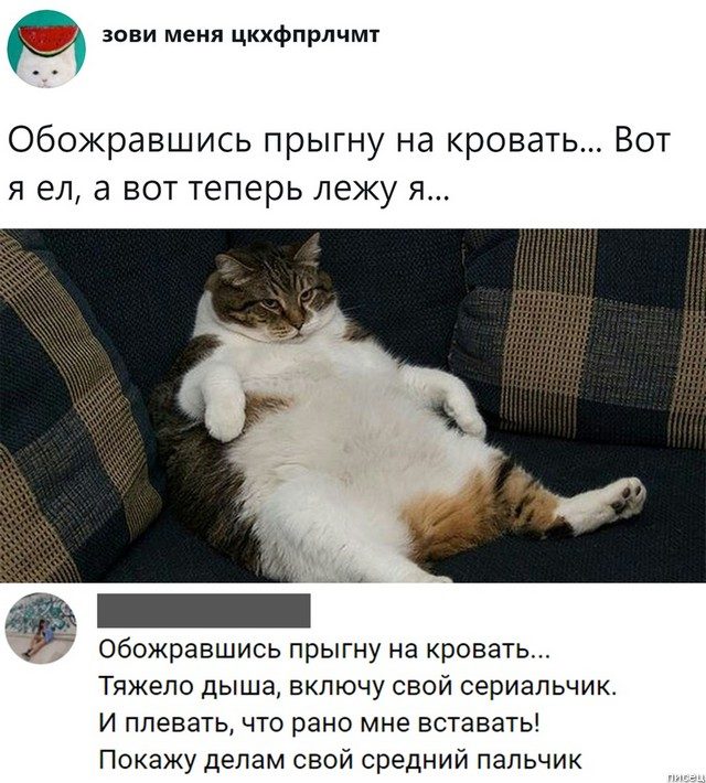 Новинки ноября из социальных сетей