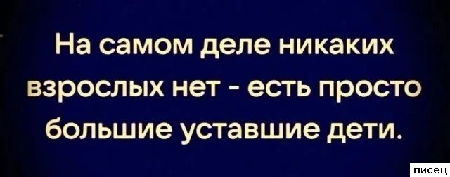 20 отличнейших цитат, которые абсолютно в точку!