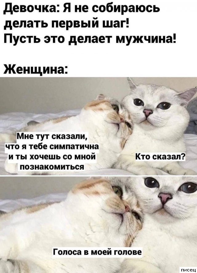 Женские приколы. Суперхиты!