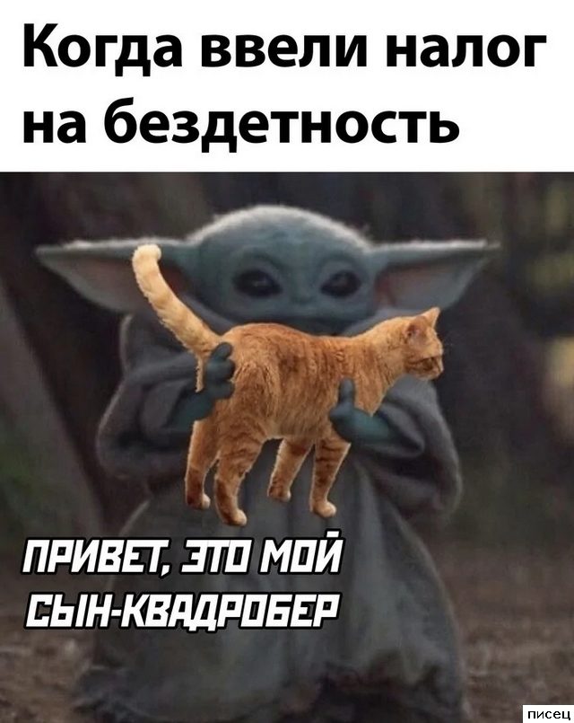 Уморительные приколы в стиле «Когда ...»