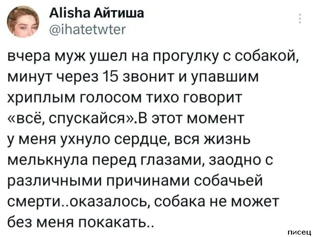 25 приколов Февраля из социальных сетей. Великолепно!