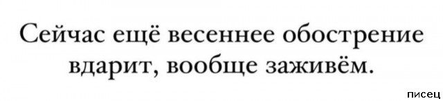 20 великолепных цитат, которые прямо в точку!