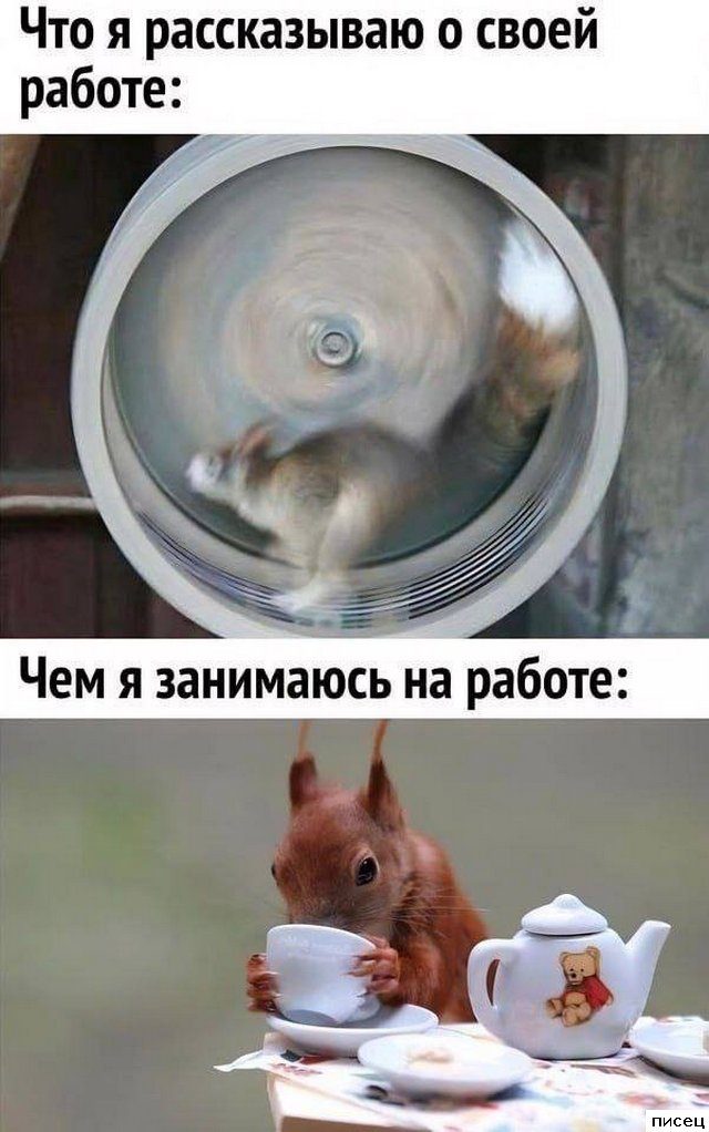 Рабочие приколы. Великолепно!