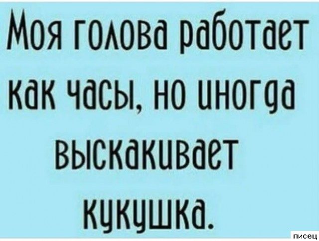 Актуальные цитаты дня. Офигенно!