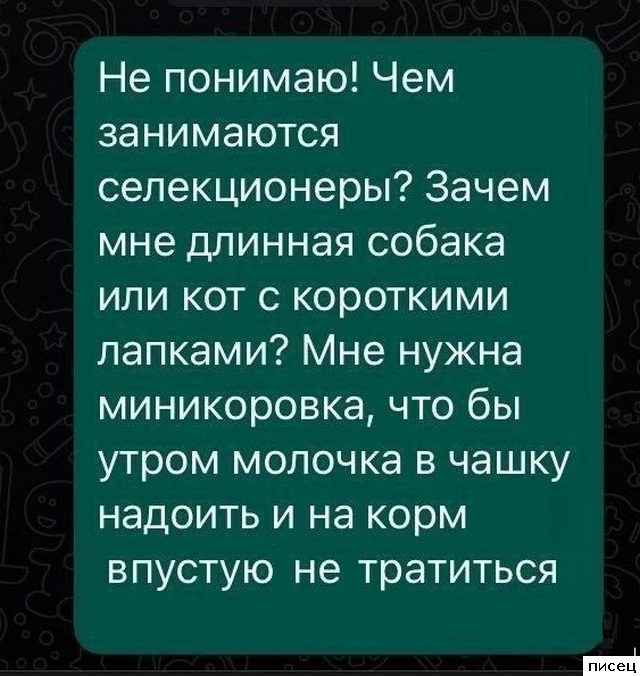 18 весёлых смсок, которые доставят всем незабываемое удовольствие