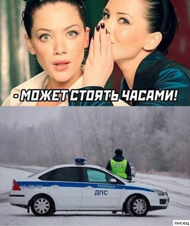 Смехотерапия Писца. Жмите лайк!