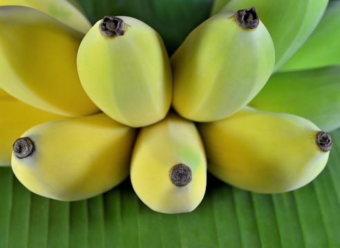 плоды банана