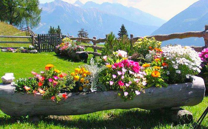 Как украсить двор цветами