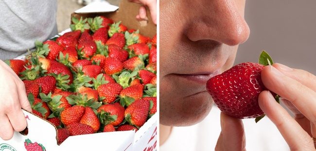Как выбрать действительно спелые ягоды и фрукты