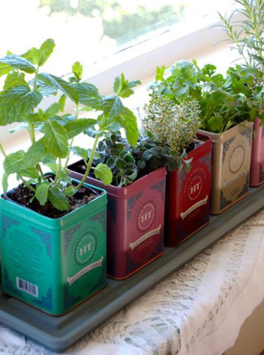 Для вдохновения: идеи по созданию живого сада в квартире