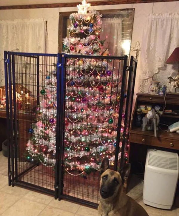 Как оригинально оградить новогоднюю елку от домашних животных